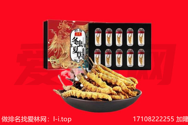 岷县回收虫草.jpg